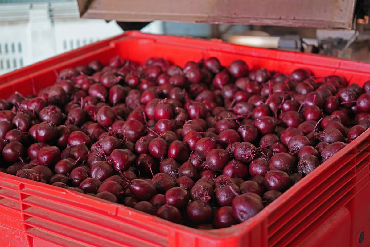 Super Sweet Beets process step