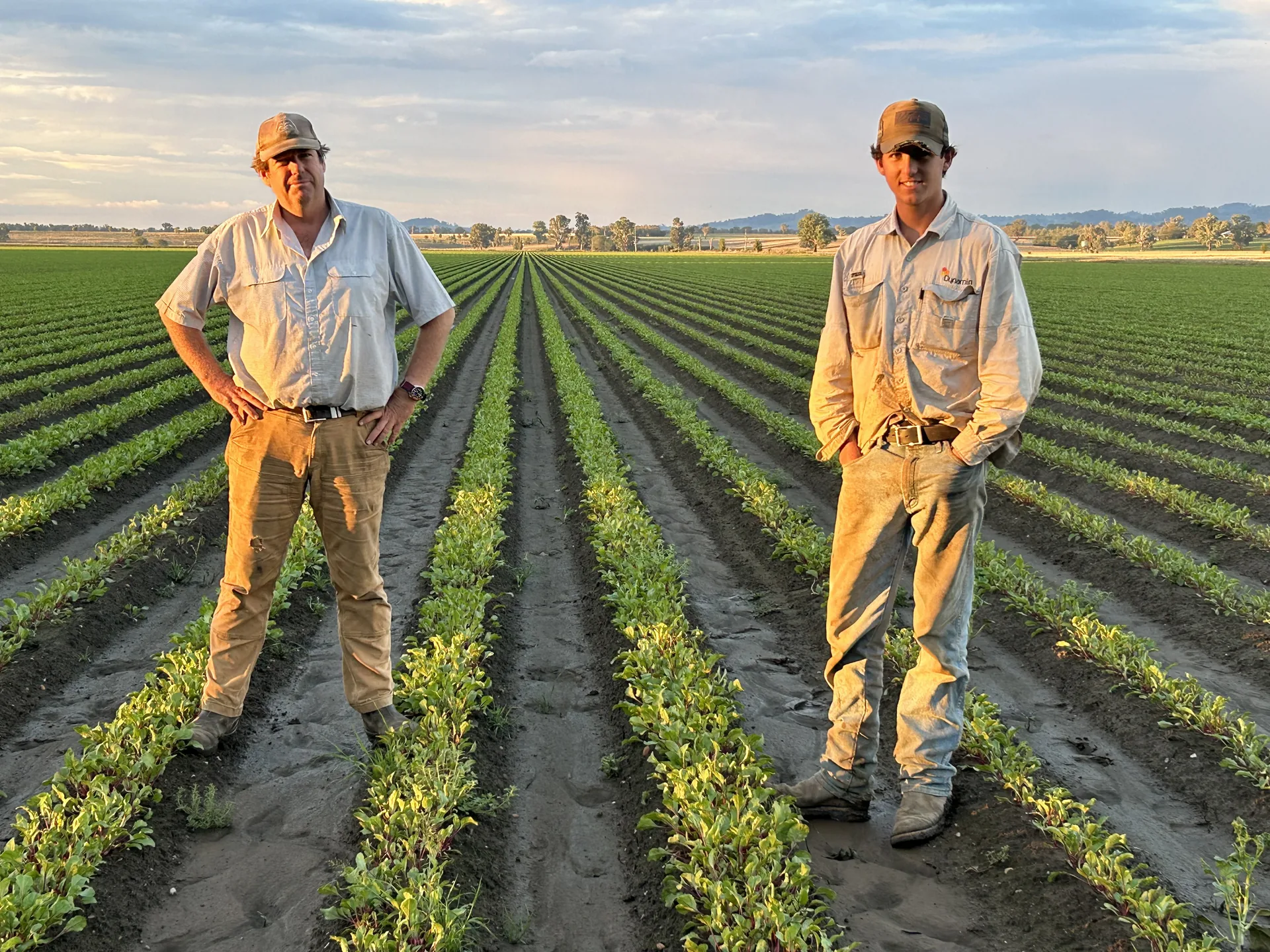 Fagan family farmers standing in a beetroot field at Mulyan in Cowra NSW
